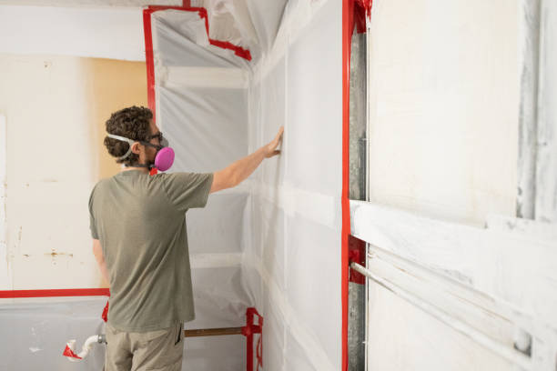 Mold Remediation for Rental Properties in North Springfield, VA